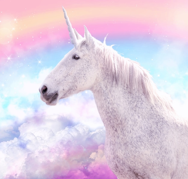 Dekoracje na tort jednorożec – stwórz magiczną atrakcję